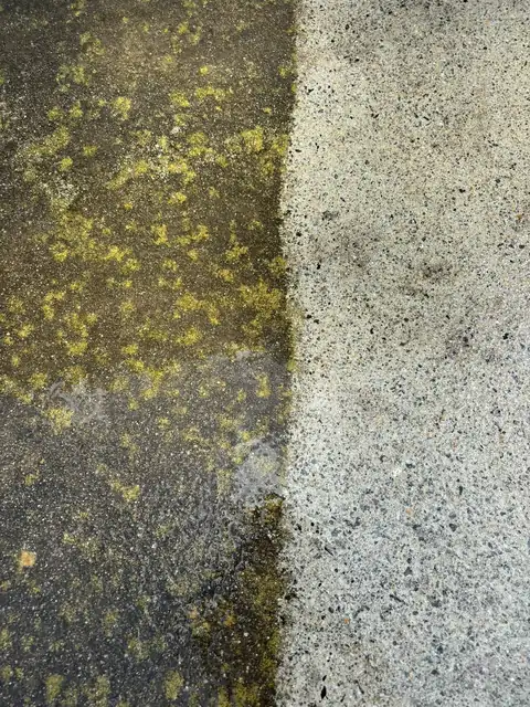 Concrete with algae half removed