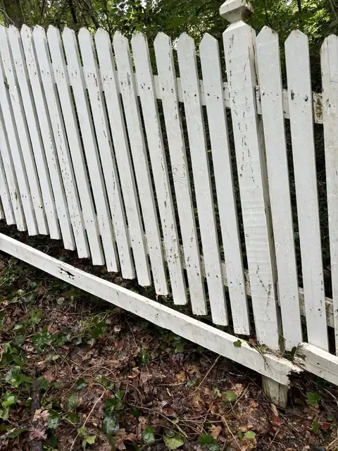 The picket fence after washing, white again