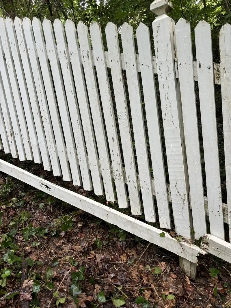 Picket fence bright white after a fence wash