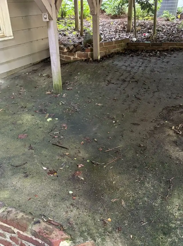 Concrete patio under a deck covered in moss before washing