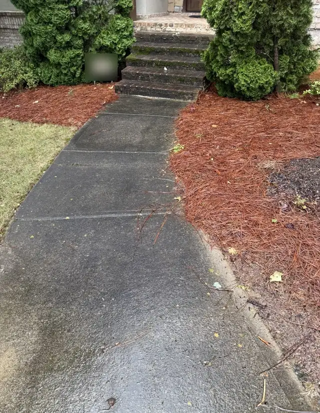 Front walkway before pressure washing, dark with mildew